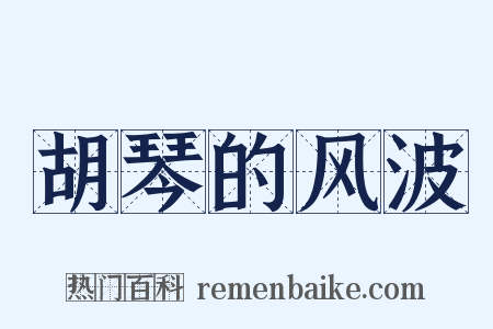胡琴的风波是什么意思的图片